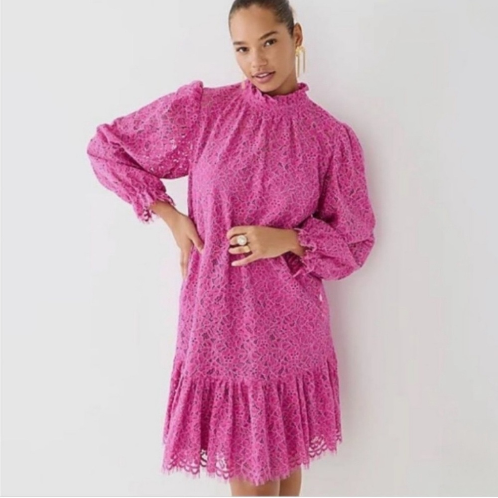 NWT J. Crew‎ Ruffleneck Lace Dress in Soft Azalea Pink.